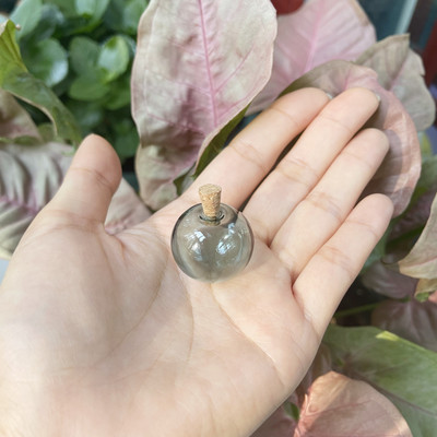 5 X mini krāsu spuldzes globuss, stikla burbulis, apaļa bumba ar korķi, DIY, dobi stikla lodītes, flakonu piekariņi, atslēgu piekariņi, rotaslietas.