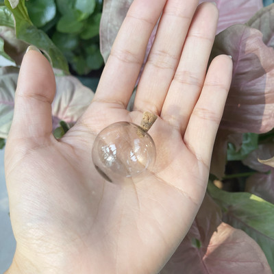 5 X mini krāsu spuldzes globuss, stikla burbulis, apaļa bumba ar korķi, DIY, dobi stikla lodītes, flakonu piekariņi, atslēgu piekariņi, rotaslietas.