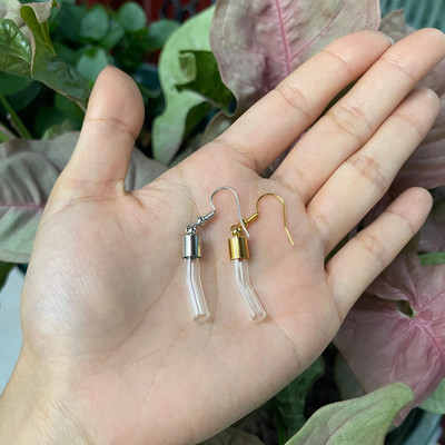 10X originalna cijev/srce/lopta/ravna staklena bočica viseće duge naušnice Naziv na bočici rižinog ulja za žene Staklene naušnice s mjehurićima