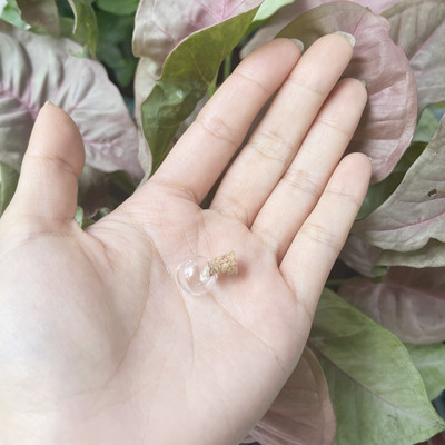 8X 12-40 mm mini staklene boce perle prozirne plutajuće bočice male željene bočice parfemskog ulja s plutenim čepovima za ogrlicu