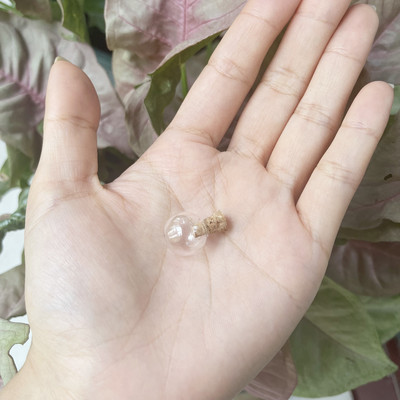 8X 12-40 mm mini staklene boce perle prozirne plutajuće bočice male željene bočice parfemskog ulja s plutenim čepovima za ogrlicu