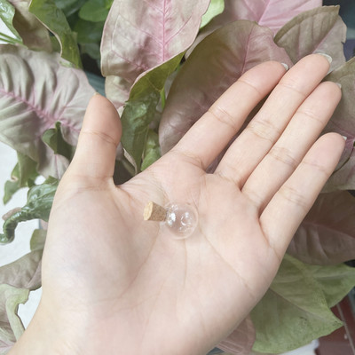 8X 12-40 mm mini staklene boce perle prozirne plutajuće bočice male željene bočice parfemskog ulja s plutenim čepovima za ogrlicu