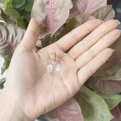 8X 12-40 mm mini staklene boce perle prozirne plutajuće bočice male željene bočice parfemskog ulja s plutenim čepovima za ogrlicu