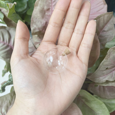 8X 12-40 mm mini staklene boce perle prozirne plutajuće bočice male željene bočice parfemskog ulja s plutenim čepovima za ogrlicu