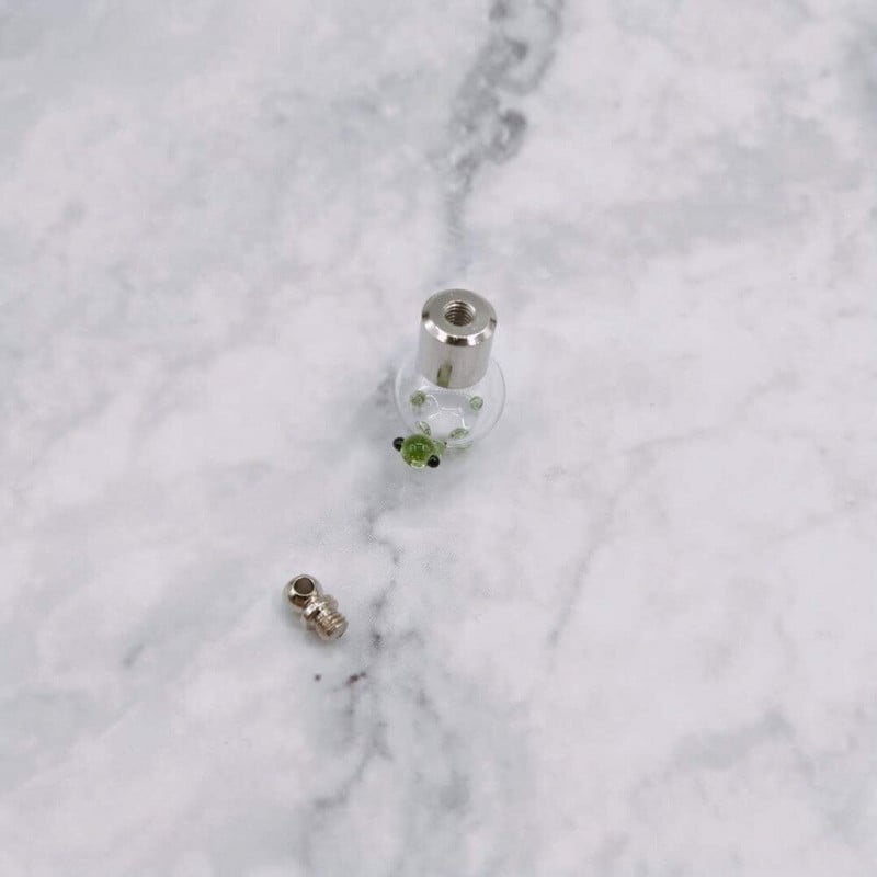 10 vnt/sl. mielas vėžlys SCREW CAP stiklo buteliuko pakabukas Wish Bottle Kvepalų eterinio aliejaus žavesio pavadinimas ant ryžių meno stiklo buteliuko pakabuko