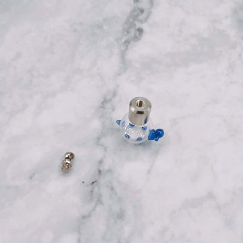 10 vnt/sl. mielas vėžlys SCREW CAP stiklo buteliuko pakabukas Wish Bottle Kvepalų eterinio aliejaus žavesio pavadinimas ant ryžių meno stiklo buteliuko pakabuko