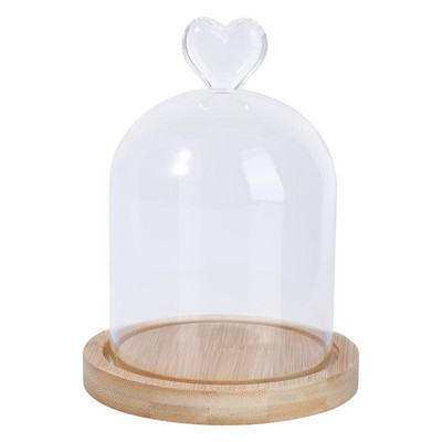 Üvegkupola display Bell Cloche Jar Kis fa alapon Cloches Plants tok