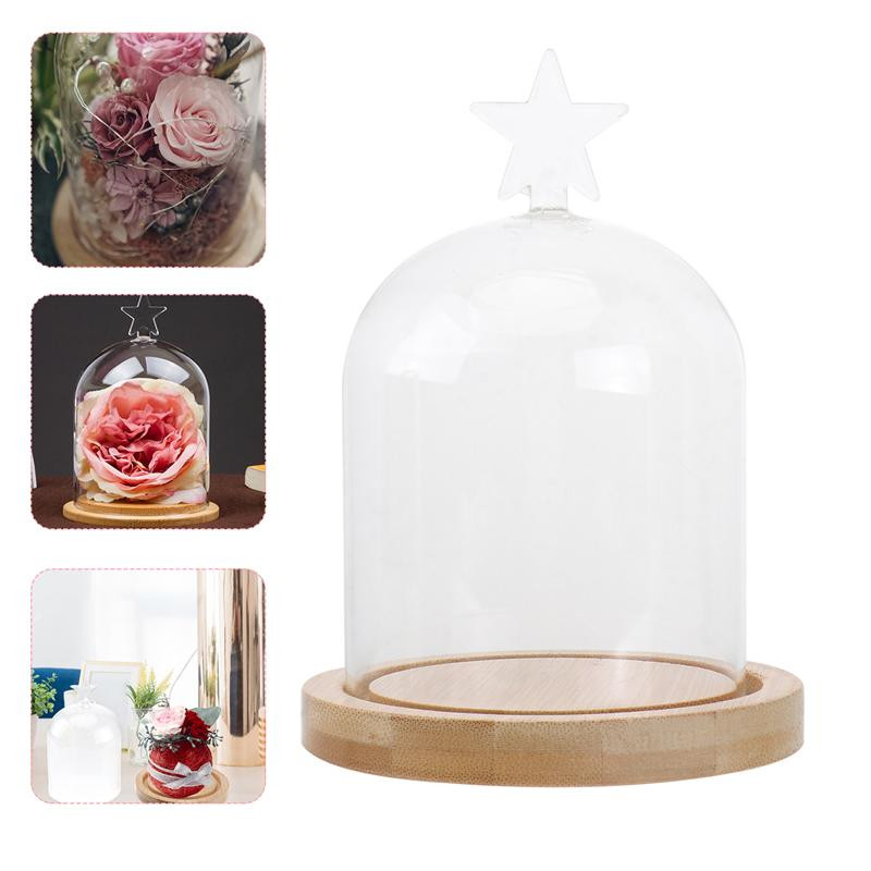 Üvegkupola display Bell Cloche Jar Kis fa alapon Cloches Plants tok
