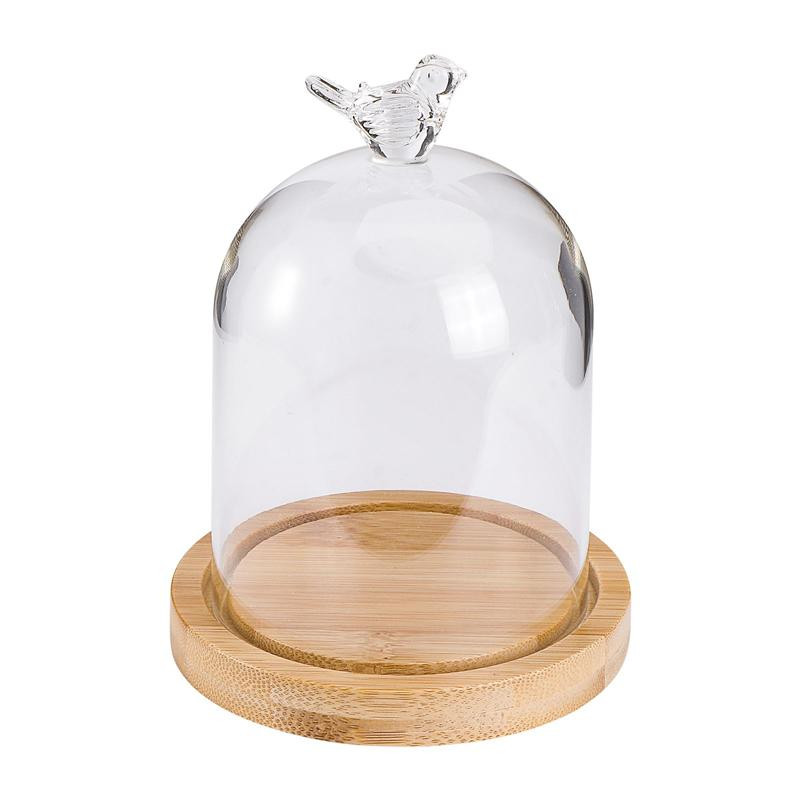 Üvegkupola display Bell Cloche Jar Kis fa alapon Cloches Plants tok
