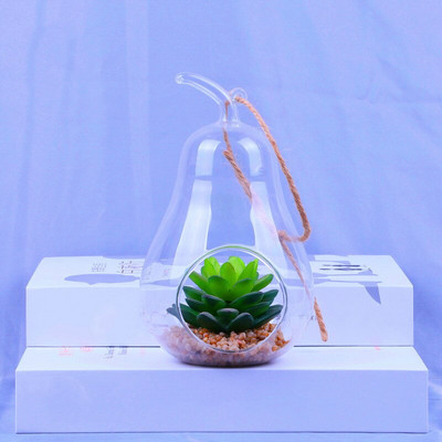2tk/pakk 8*11cm pirnikujuline rippuv klaasist terraariumi vaas lauaalus, lennukipudel Kodu dekoratiivne kingitus sõbrale