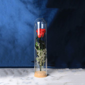 4 rinkiniai / pakuotė 3,7 * 10 cm vamzdžio formos stiklinis kupolas namų dekoravimui kamštienos pagrindas permatomas dangtelis Vestuvių rekvizitas „pasidaryk pats“ dovanų gėlių butelis