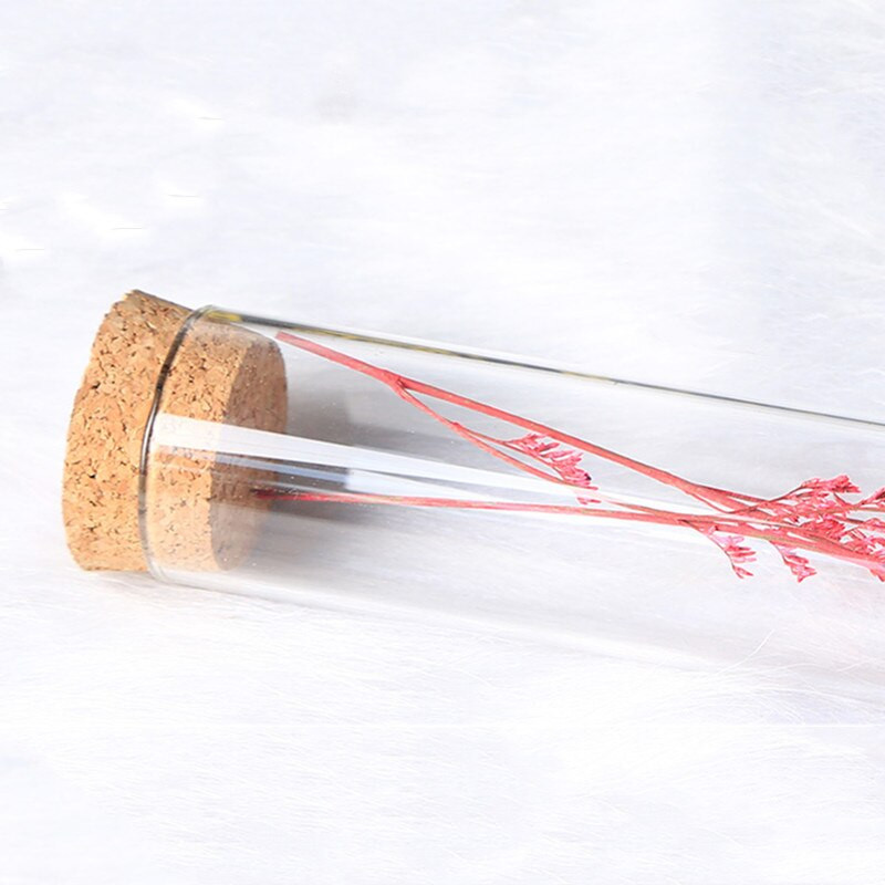 4 rinkiniai / pakuotė 3,7 * 10 cm vamzdžio formos stiklinis kupolas namų dekoravimui kamštienos pagrindas permatomas dangtelis Vestuvių rekvizitas „pasidaryk pats“ dovanų gėlių butelis