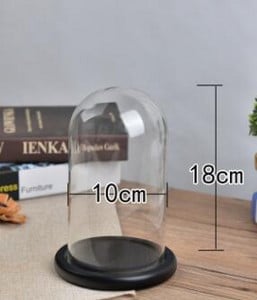 10*18cm-es üvegkupola váza lakberendezési fekete alap átlátszó borító barkácsolás barátnak ajándék esküvői élő kellék