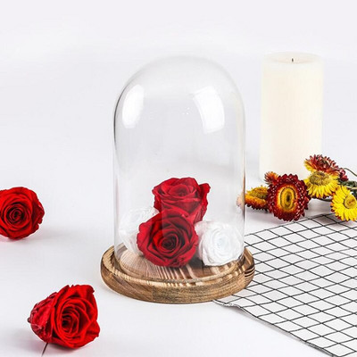 10 * 15 cm keskmise suurusega DIY Friend Gift klaaskupliga vaas kodukaunistus antiikne alus läbipaistev kate Pulmarekvisiit