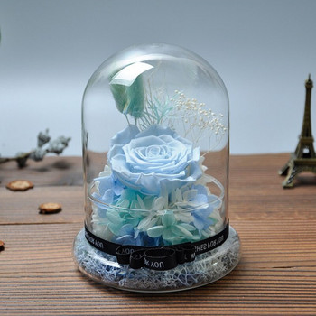 8*15cm Βάζο μεσαίου μεγέθους Fission Glass Dome Διακόσμηση σπιτιού Δημιουργικό διαφανές κάλυμμα DIY Friend Favor Gift Wedding Live Prop