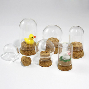 Δωρεάν αποστολή Διάμετρος=5cm Mini Size Cork Base Glass Dome Dry Flower Storage Bottle DIY Tube Vase Friend