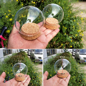 2 rinkiniai / pakuotė Skersmuo = 7 cm 8,5 cm Mažo dydžio kamštinio pagrindo stiklo kupolas Draugo dovana Kūrybinis viršelis Namų vestuvių dekoravimas