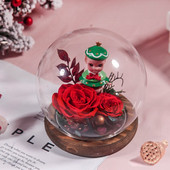 Skersmuo = 15 cm Vidutinio dydžio stiklo kupolo vaza Namų dekoravimui permatomas dangtelis „Pasidaryk pats“ draugui dovanų vestuvėms gyvai