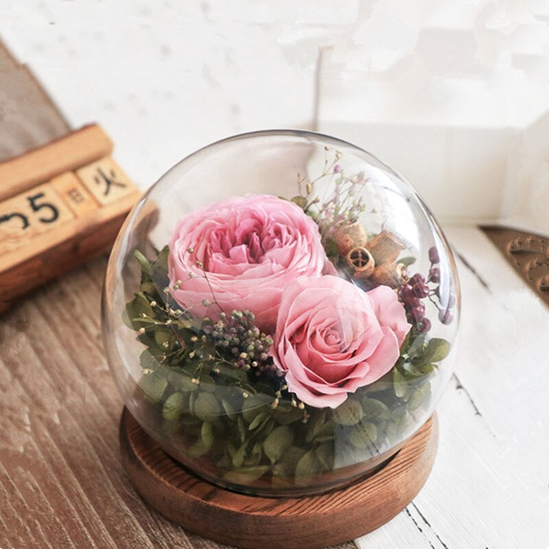 Skersmuo = 15 cm Vidutinio dydžio stiklo kupolo vaza Namų dekoravimui permatomas dangtelis „Pasidaryk pats“ draugui dovanų vestuvėms gyvai