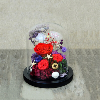 10*12 см малък размер стъклена куполна ваза Декорация на дома Черна основа Прозрачен капак Направи си сам приятел Подарък Подарък за сватба на живо