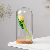 12 * 26 cm Vază cu dom din sticlă de marime Decorare pentru casă Bază de plută Husă transparentă DIY Prieten cadou pentru cadou pentru nuntă Live Prop