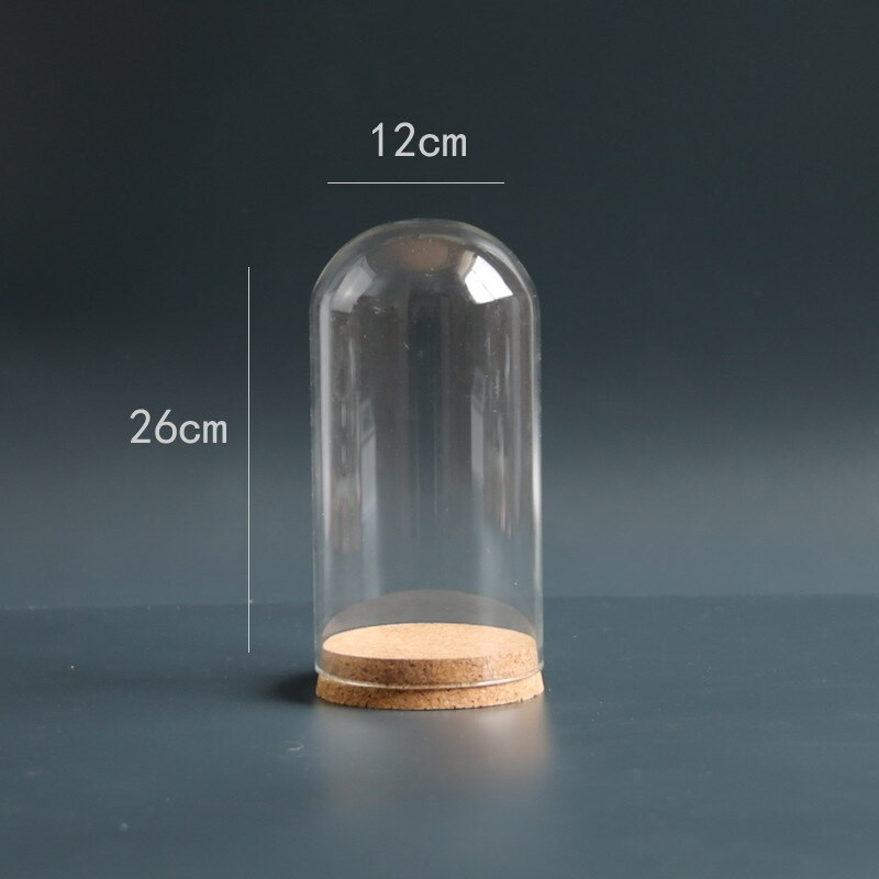 12 * 26 cm Vază cu dom din sticlă de marime Decorare pentru casă Bază de plută Husă transparentă DIY Prieten cadou pentru cadou pentru nuntă Live Prop