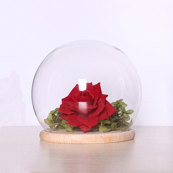 Диаметър=12 см среден размер стъклена куполна ваза Декорация на дома Творческа кръгла корица Дървена основа Подарък за приятел Сватба на живо Реквизит