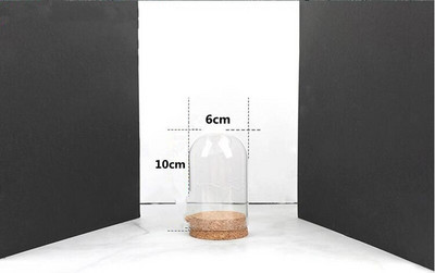 2 készlet/csomag 6*10 cm kis méretű parafa alap henger alakú üvegkupola lakberendezési átlátszó borító barkácsolás barát ajándék esküvői kellék