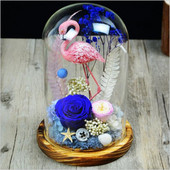 10 * 20 cm vidutinio dydžio skaidrios stiklinės kupolo vazos namų dekoravimui senovinis pagrindo dangtelis „pasidaryk pats“ draugui dovanų vestuvėms gyvai