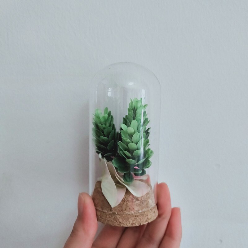 2 seturi/pachet 5*10cm Vază cu dom de sticlă de dimensiuni mini pentru decorarea nunții pentru acasă, bază de plută, capac transparent, cadou pentru prieteni, bricolaj