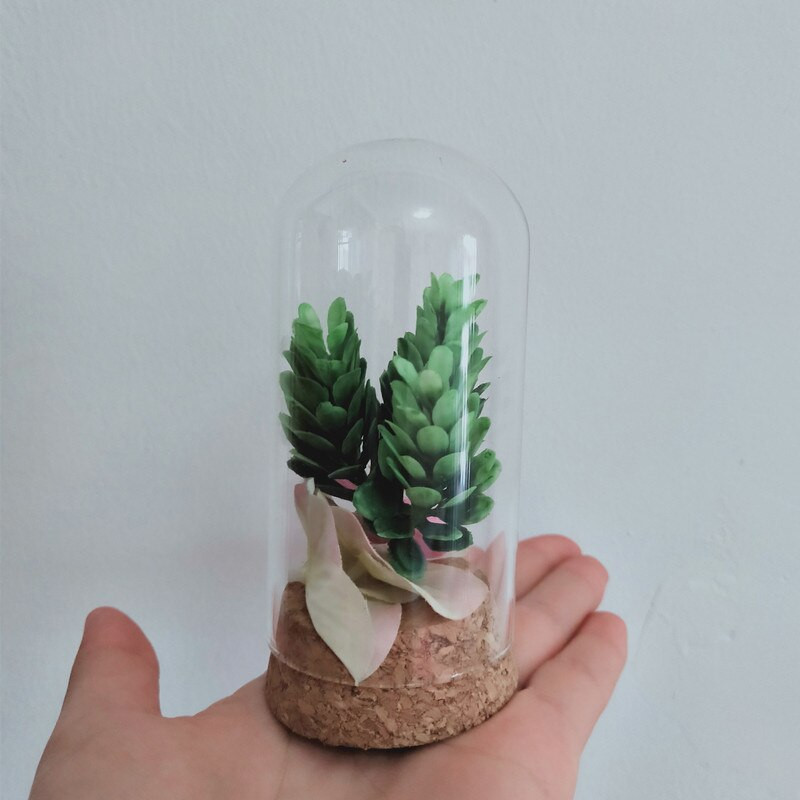 2 seturi/pachet 5*10cm Vază cu dom de sticlă de dimensiuni mini pentru decorarea nunții pentru acasă, bază de plută, capac transparent, cadou pentru prieteni, bricolaj