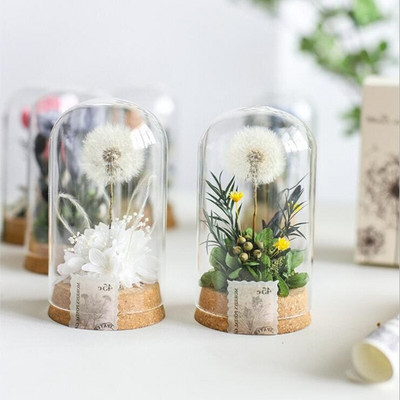 2 kompleta/paket 6*12 cm plutena baza cilindričnog oblika staklena kupola dekoracija doma prozirna navlaka vaza DIY prijateljski poklon vjenčanje uživo rekvizit