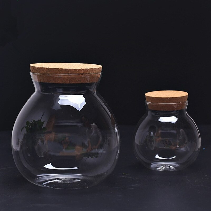 Diametru = 10 cm Rezervor de depozitare din sticlă de dimensiuni mici Capac plută Micro peisaj sticla terariu vază Decor pentru casa cadou prieten