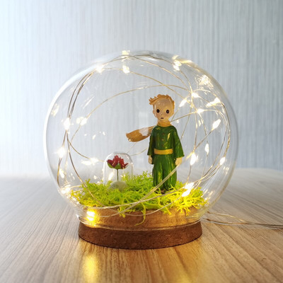 Promjer=13 cm Srednja veličina Okrugla staklena kupolasta vaza Dekoracija doma Pluteno postolje Prozirna navlaka DIY prijateljski poklon Rekvizit za vjenčanje