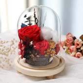 10 * 21 cm vidutinio dydžio skaidrios stiklinės kupolo vazos namų dekoravimas trijų kojų rąsto pagrindo dangteliu dovana vestuvėms gyvai