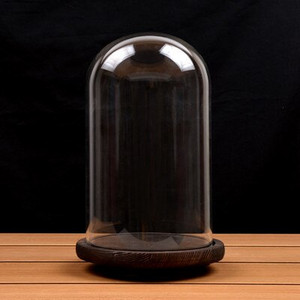 10 * 21 cm vidutinio dydžio skaidrios stiklinės kupolo vazos namų dekoravimas trijų kojų rąsto pagrindo dangteliu dovana vestuvėms gyvai