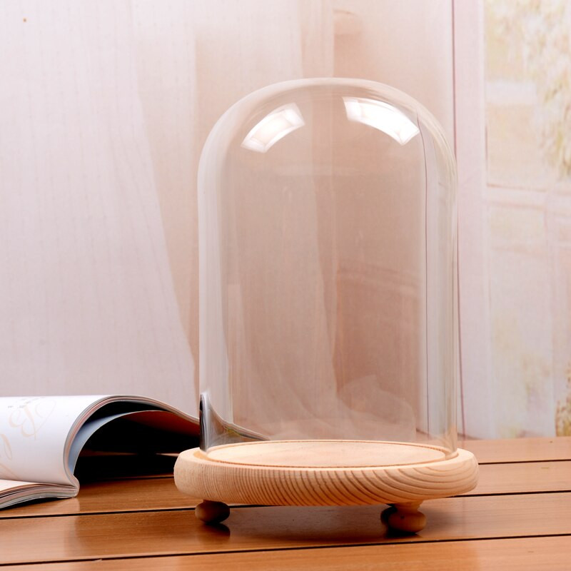 10 * 21 cm vidutinio dydžio skaidrios stiklinės kupolo vazos namų dekoravimas trijų kojų rąsto pagrindo dangteliu dovana vestuvėms gyvai