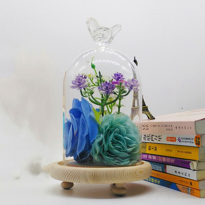 12*16cm Vază cu dom din sticlă pentru pasăre, capac decorativ transparent pentru casă, cu trei picioare, bază de busteni
