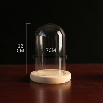 2 σετ/συσκευασία 7*12cm Μικρό μέγεθος Διαφορετικό Προαιρετική Βάση Γυάλινο Βάζο Θόλος Διακόσμηση σπιτιού Διαφανές κάλυμμα DIY Μπομπονιέρα φίλου