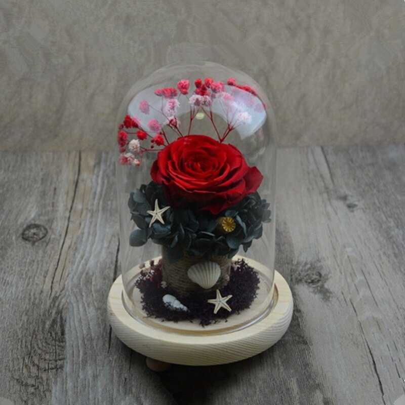 2 rinkiniai / pakuotė 7 * 12 cm mažo dydžio, skirtingo neprivaloma pagrindo stiklo kupolo vaza Namų dekoravimui permatomas dangtelis „pasidaryk pats“ draugo palankumo dovana