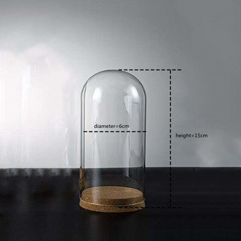 2 комплекта/опаковка 6*15 см коркова основа цилиндрична форма стъклена куполна ваза декорация на дома прозрачен капак Направи си сам приятел подарък сватба на живо реквизит