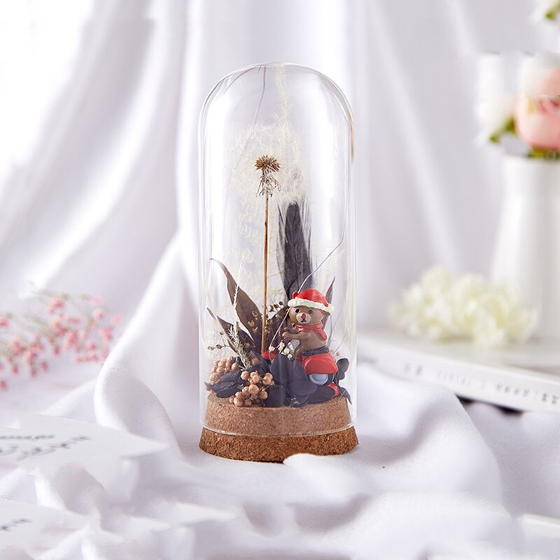 2 készlet/csomag 6*15 cm-es parafa alap henger alakú üvegkupola váza lakberendezési átlátszó borító barkácsolás barátnak ajándék esküvői élő kellék