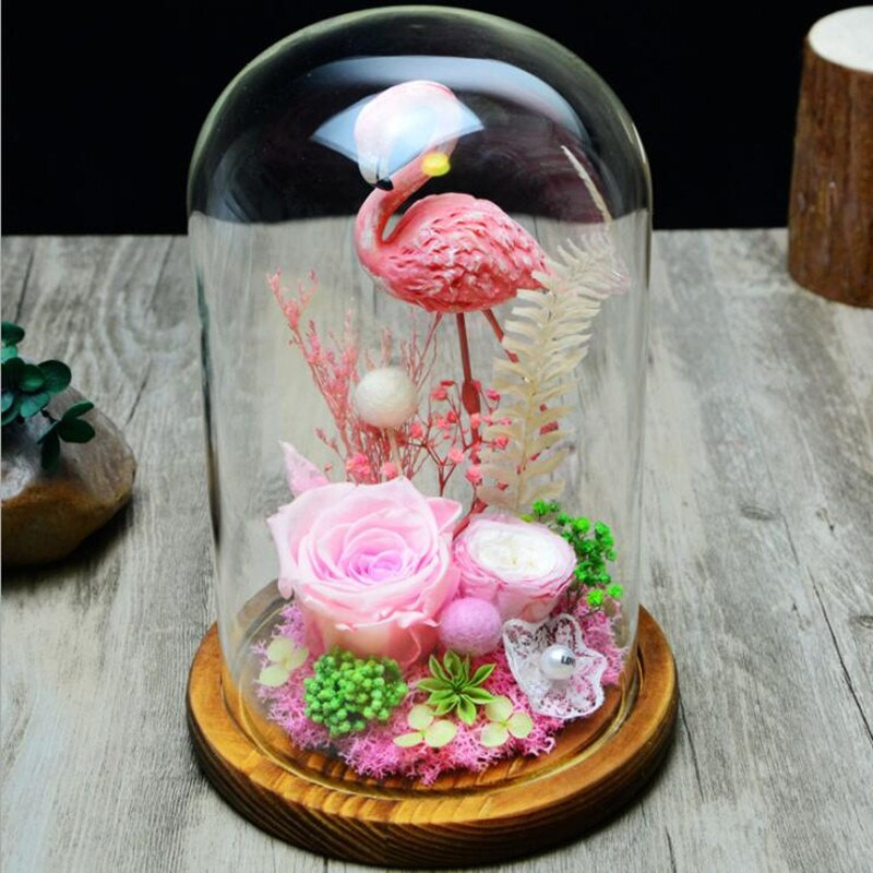 10*18 cm vidutinio dydžio skaidrios stiklinės kupolo vazos namų dekoravimui senovinis pagrindo dangtelis „pasidaryk pats“ draugui dovana, vestuvių gimtadienis gyvai