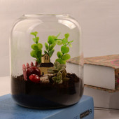 12*19cm közepes méretű üveg terráriumi váza húsosabb növényi palack Microscape hidroponikus növények esküvői dekoráció