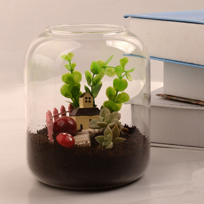 12*19cm közepes méretű üveg terráriumi váza húsosabb növényi palack Microscape hidroponikus növények esküvői dekoráció