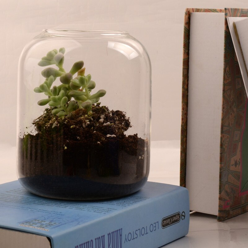 12*19cm közepes méretű üveg terráriumi váza húsosabb növényi palack Microscape hidroponikus növények esküvői dekoráció