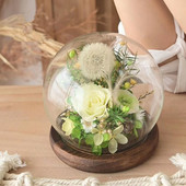 Diametru = 13 cm Dimensiune mijlocie Vază cu dom de sticlă în formă de rotund pentru decorarea casei bază antică capac transparent cadou de nuntă