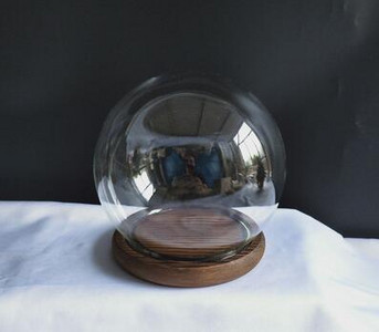 Diametru=10cm Dimensiune mică Vază cu dom de sticlă rotundă Decor pentru casă Copertă transparentă creativă Cadou pentru prietene Nunta Live Prop