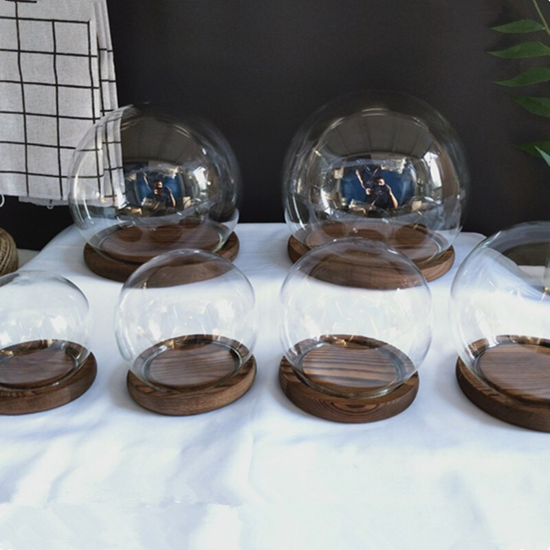 Diametru=10cm Dimensiune mică Vază cu dom de sticlă rotundă Decor pentru casă Copertă transparentă creativă Cadou pentru prietene Nunta Live Prop