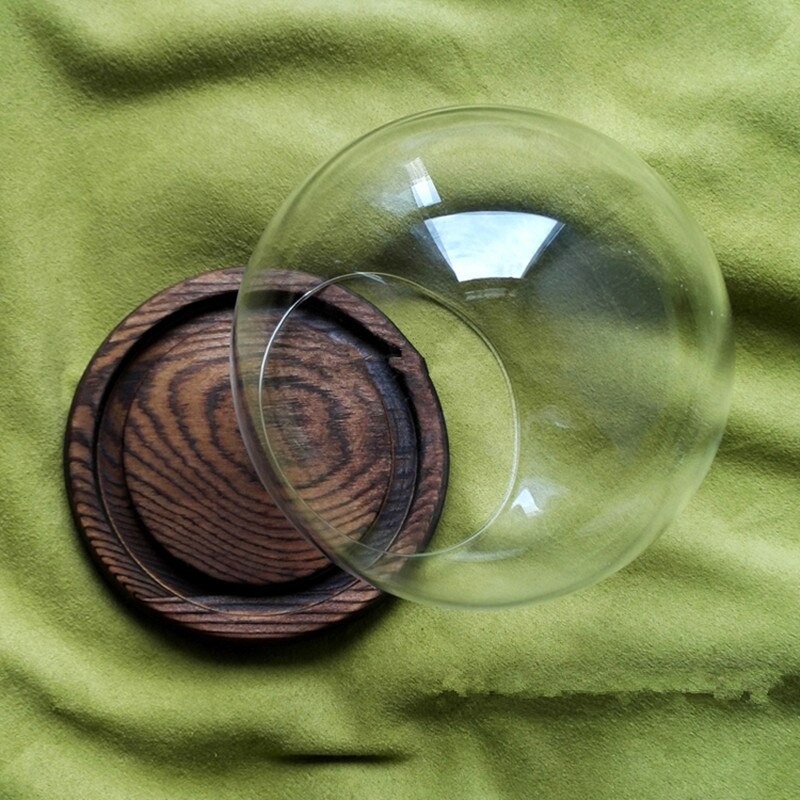 Diametru=10cm Dimensiune mică Vază cu dom de sticlă rotundă Decor pentru casă Copertă transparentă creativă Cadou pentru prietene Nunta Live Prop